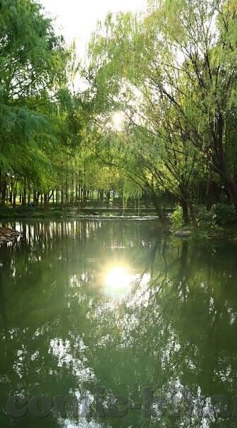 日韩av色-探索日韩影视文化中的多元视角，从艺术与文化的角度解析